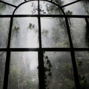 Meet your Posher, Miranda